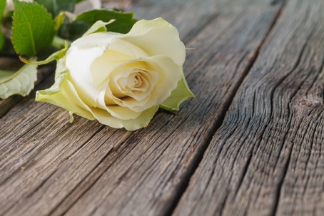 white funeral flower on table